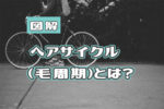 【図解】ヘアサイクル（毛周期）とは？