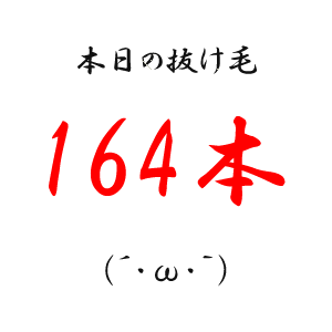 本日の抜け毛164本