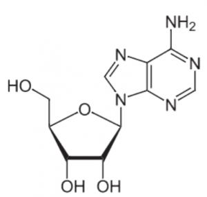 アデノシン