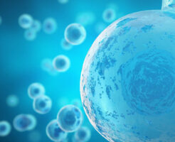 再生医療細胞イメージ